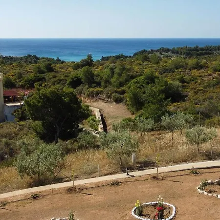 Apartment Amare